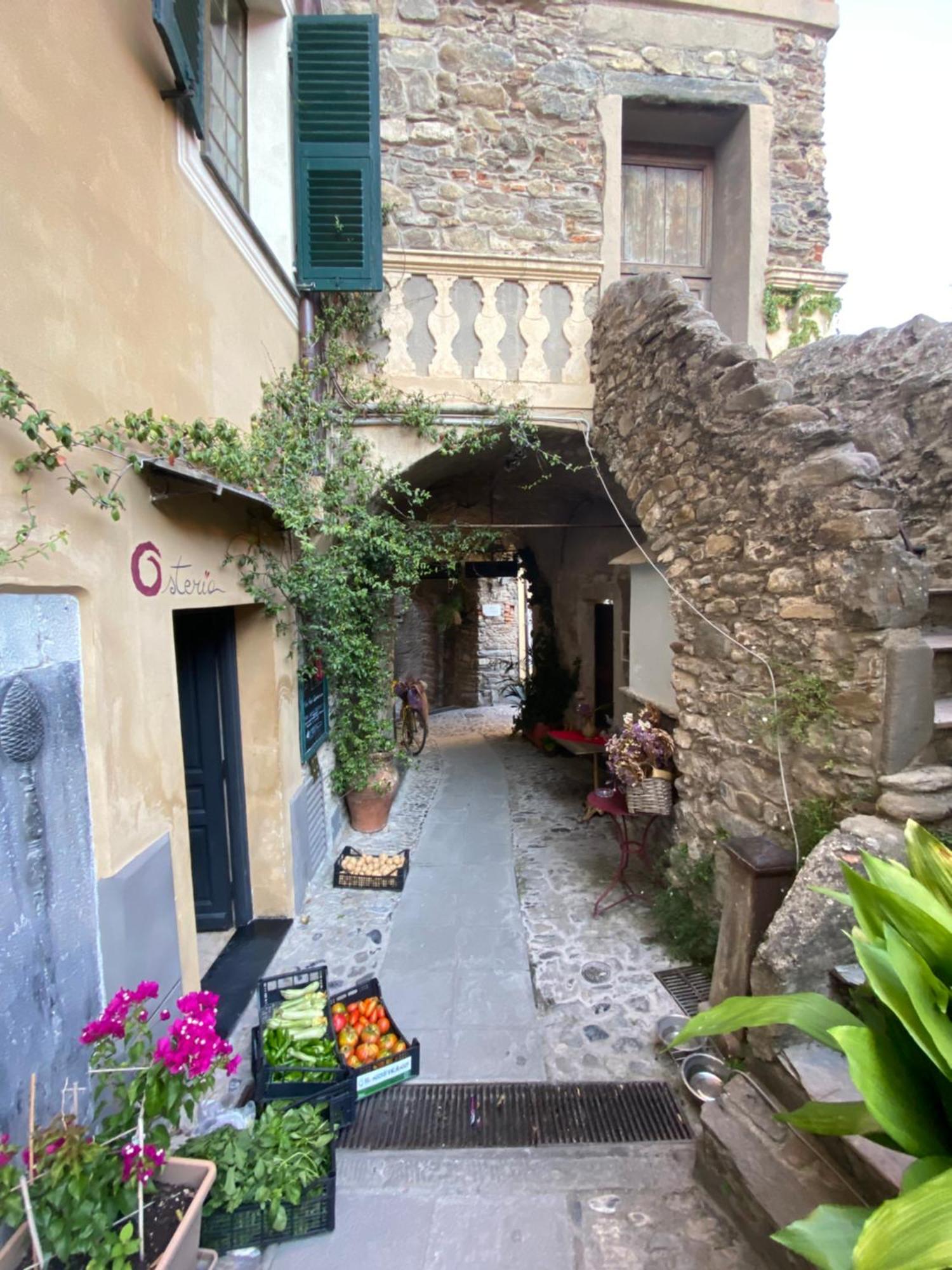 Iconic Italian Townhouse W Rooftop Terrace & Mountain View, Pigna Exterior foto